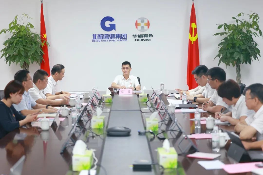 bv1946伟德官网召开党委理论学习中心组2023年第二季度集中学习会