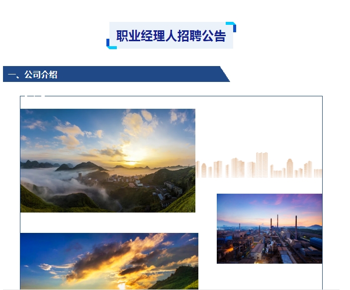 bv1946伟德官网职业经理人招聘公告
